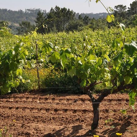 Quinta da Serrana Ourem Bagian luar foto