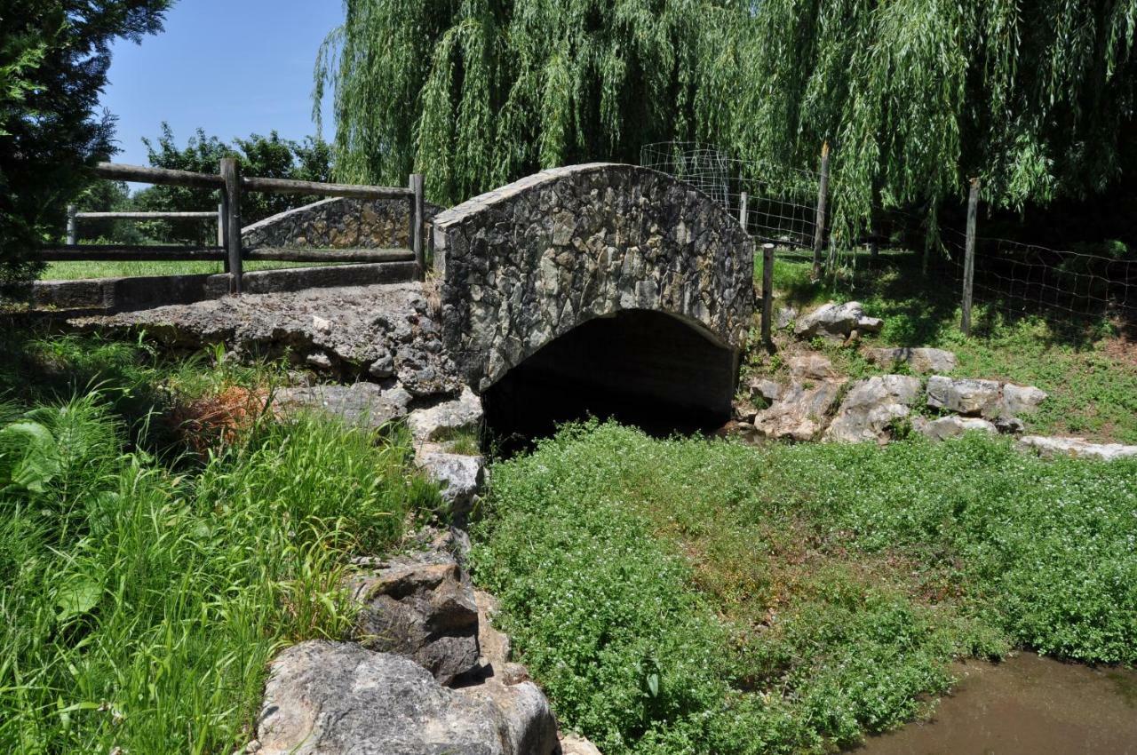Quinta da Serrana Ourem Bagian luar foto